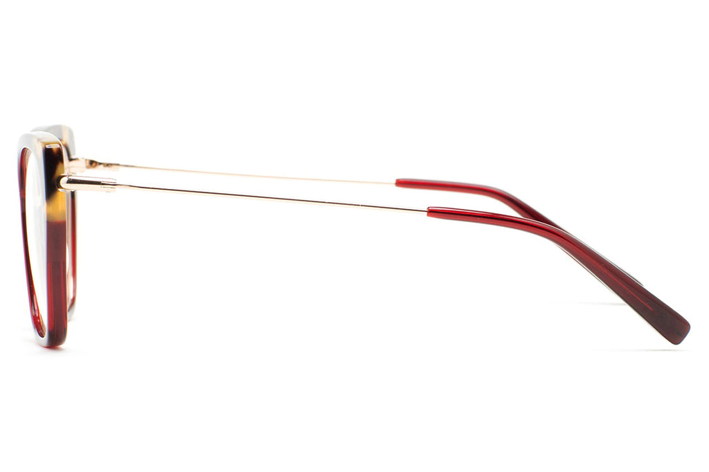Kaleos Eyehunters - Steele Eyeglasses Transparent Burgundy/Brown Havana