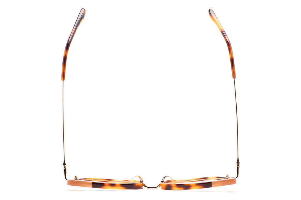 Kaleos Eyehunters - Steele Eyeglasses Brown Havana/Transparent Brown