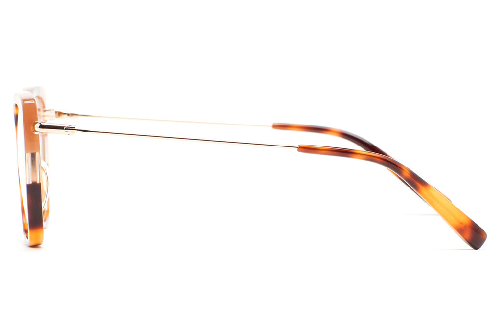 Kaleos Eyehunters - Steele Eyeglasses Brown Havana/Transparent Brown