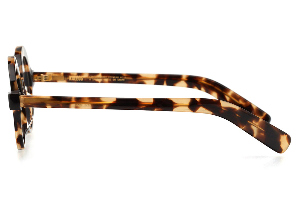 Kaleos Eyehunters - Ha Eyeglasses Brown Tortoise/Black