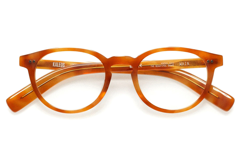 Kaleos Eyehunters - Wain Eyeglasses Amber