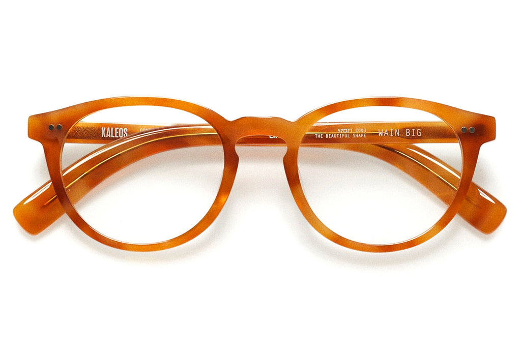 Kaleos Eyehunters - Wain Big Eyeglasses Amber