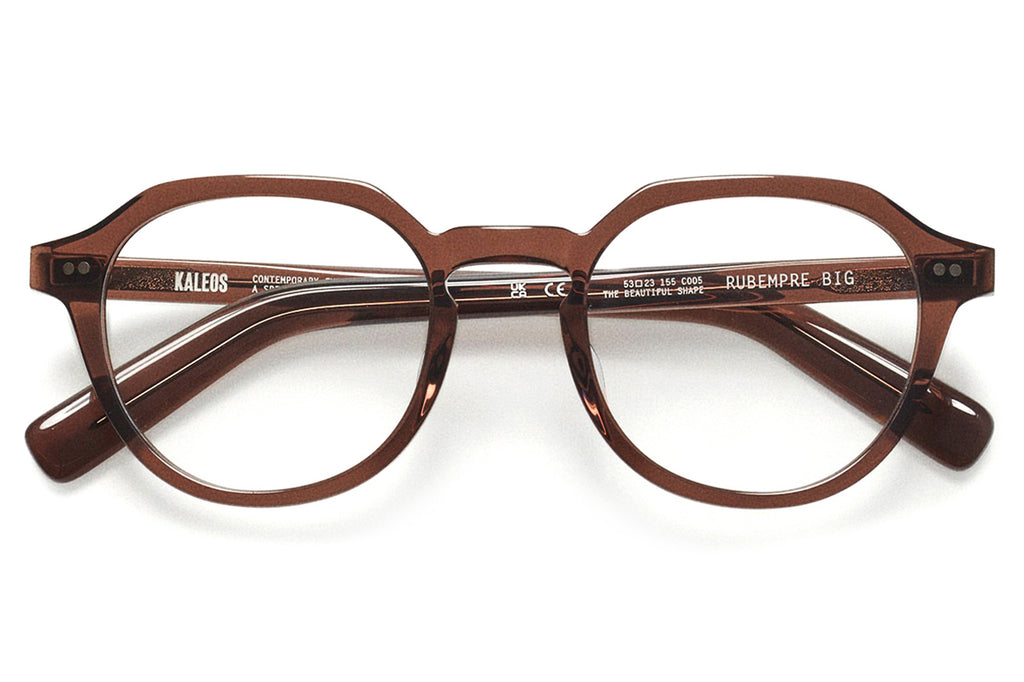 Kaleos Eyehunters - Rubempre Big Eyeglasses Brown