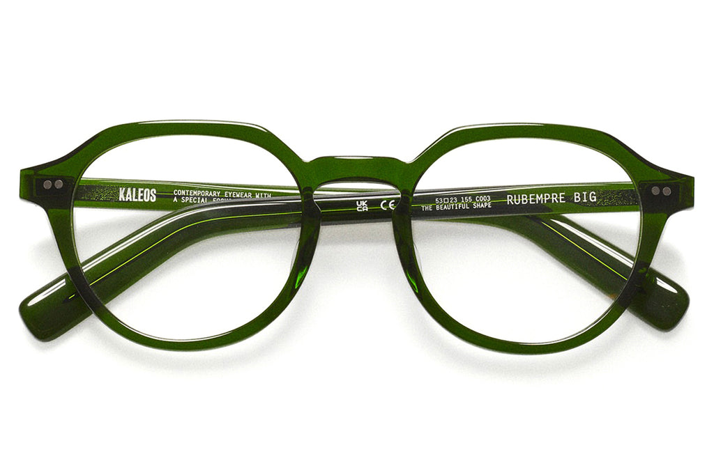 Kaleos Eyehunters - Rubempre Big Eyeglasses Green