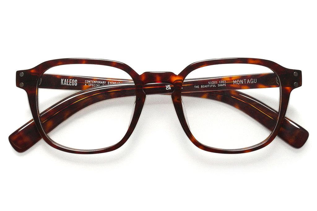 Kaleos Eyehunters - Montagu Eyeglasses Dark Brown Tortoise