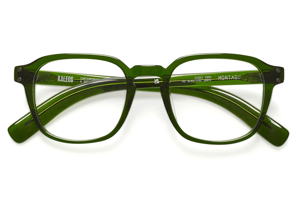 Kaleos Eyehunters - Montagu Eyeglasses Green