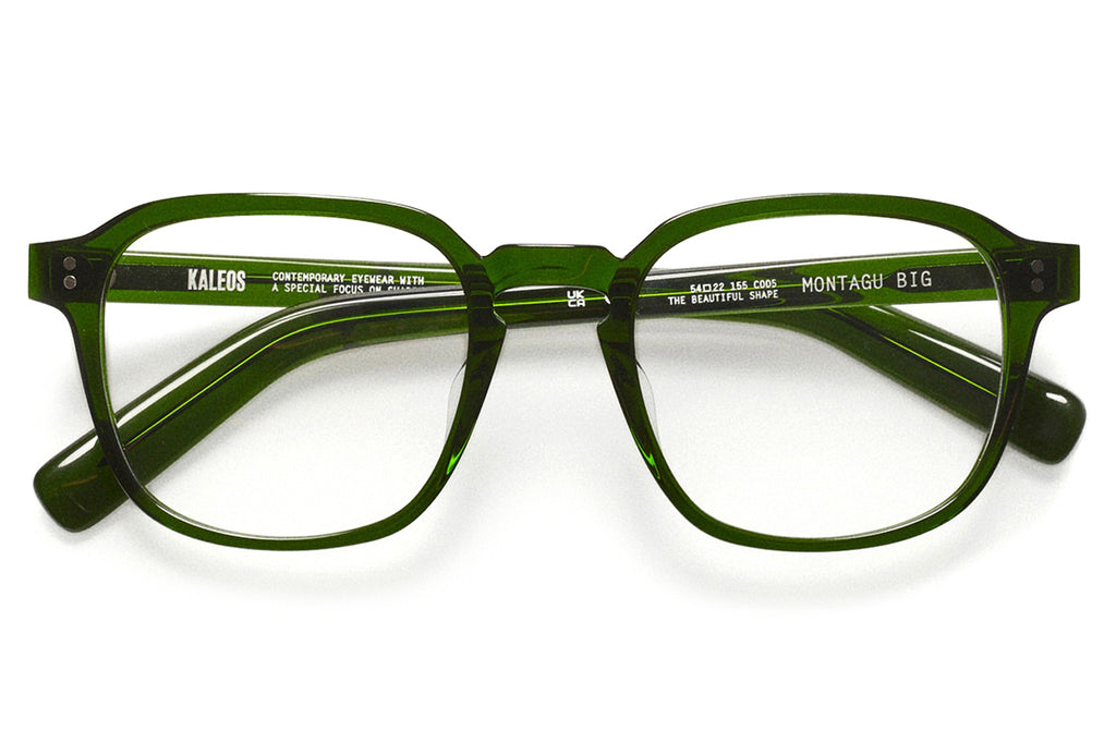 Kaleos Eyehunters - Montagu Big Eyeglasses Green