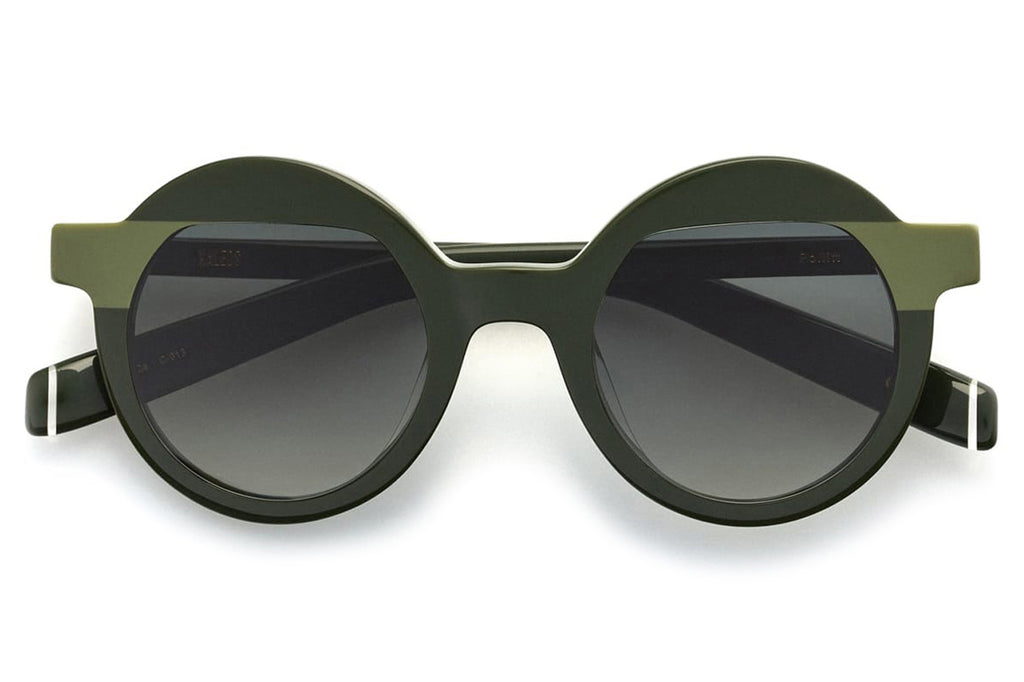 Kaleos Eyehunters - Pollitt Sunglasses Dark Green/Light Green