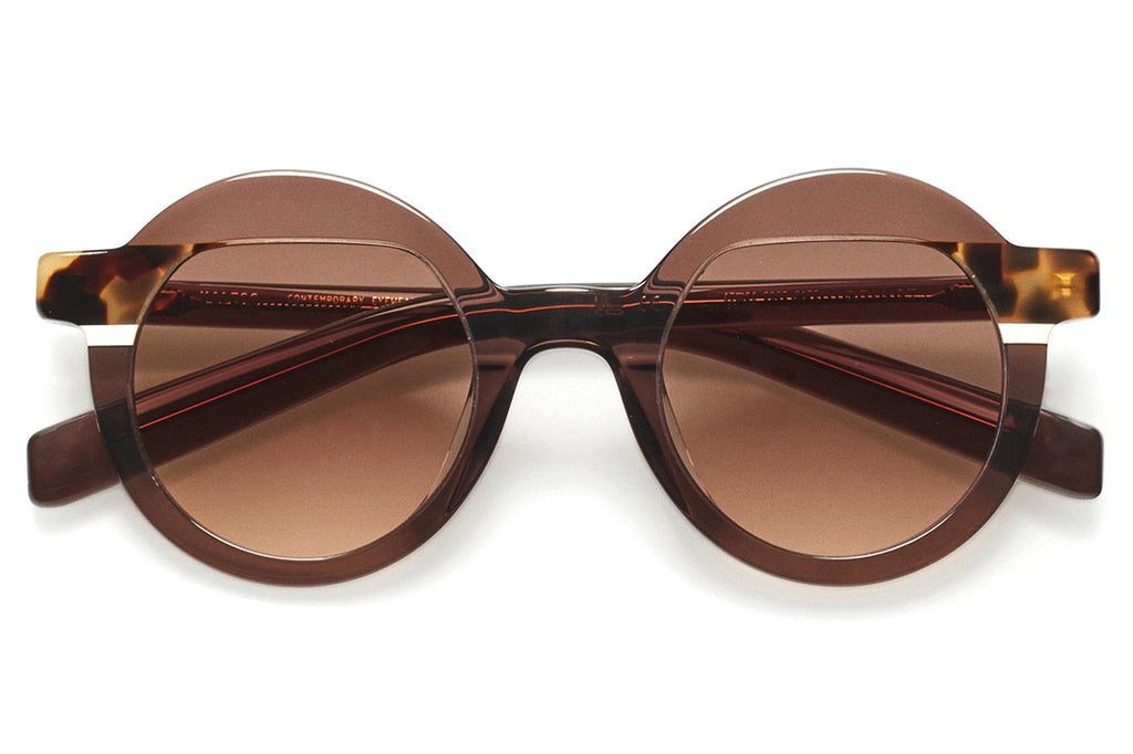 Kaleos Eyehunters - Pollitt Sunglasses Transparent Brown/Brown Tortoise/White