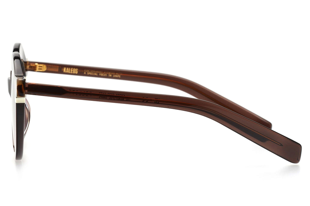 Kaleos Eyehunters - Pollitt Sunglasses Transparent Brown/Brown Tortoise/White