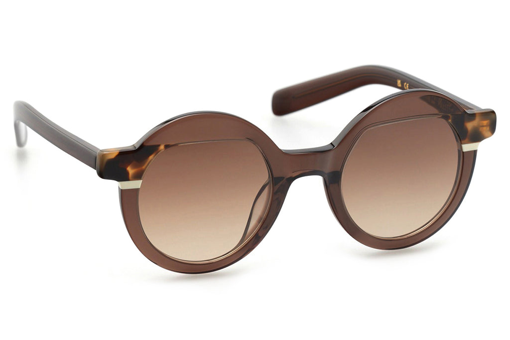 Kaleos Eyehunters - Pollitt Sunglasses Transparent Brown/Brown Tortoise/White