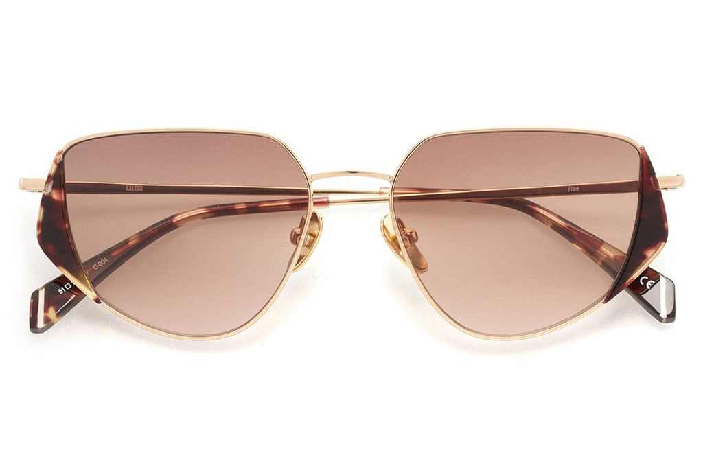 Kaleos Eyehunters - Rae Sunglasses Gold/Dark Brown Tortoise