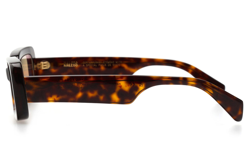 Kaleos Eyehunters - Barbarella Sunglasses Monochrome Dark Brown Tortoise
