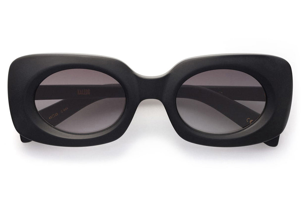 Kaleos Eyehunters - Franklin Sunglasses Matte Black