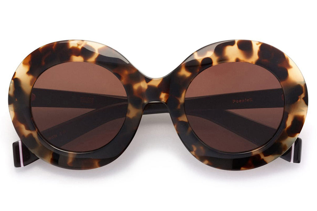 Kaleos Eyehunters - Pospisil Sunglasses Brown Tortoise