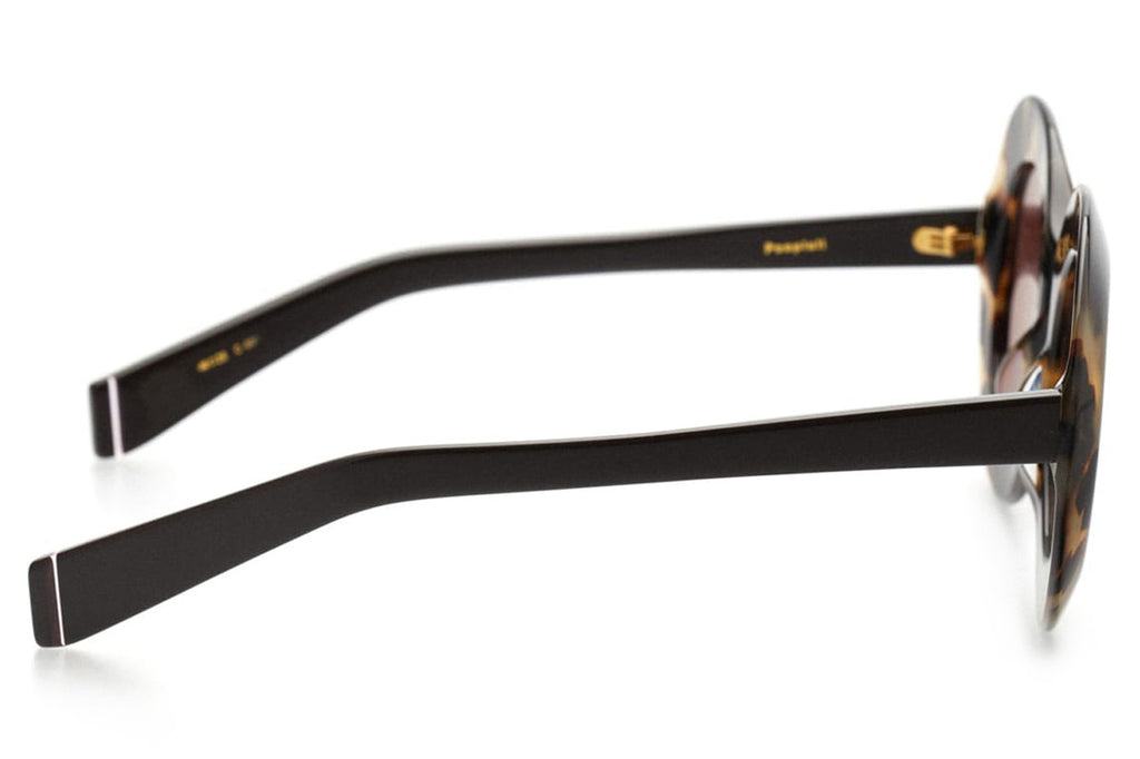 Kaleos Eyehunters - Pospisil Sunglasses Brown Tortoise