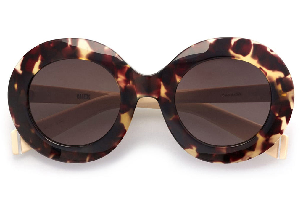 Kaleos Eyehunters - Pospisil Sunglasses Dark Brown Tortoise