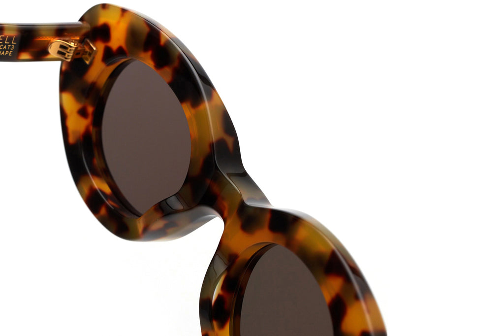 Kaleos Eyehunters - Tercell Sunglasses Brown Tortoise