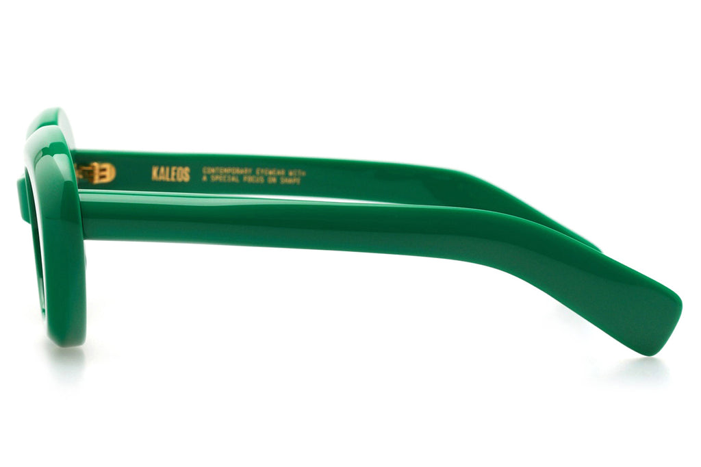 Kaleos Eyehunters - Tercell Sunglasses Monochrome Green