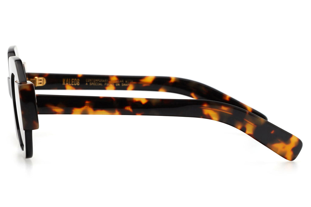 Kaleos Eyehunters - Darnell Sunglasses Black/Brown Tortoise