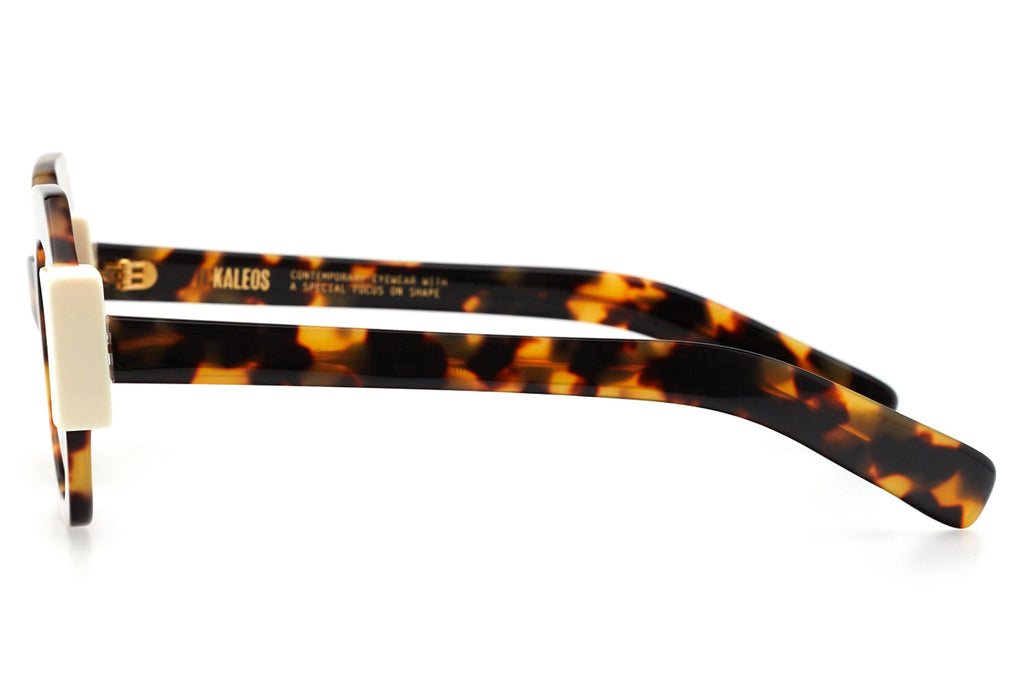 Kaleos Eyehunters - Darnell Sunglasses Brown Tortoise/White