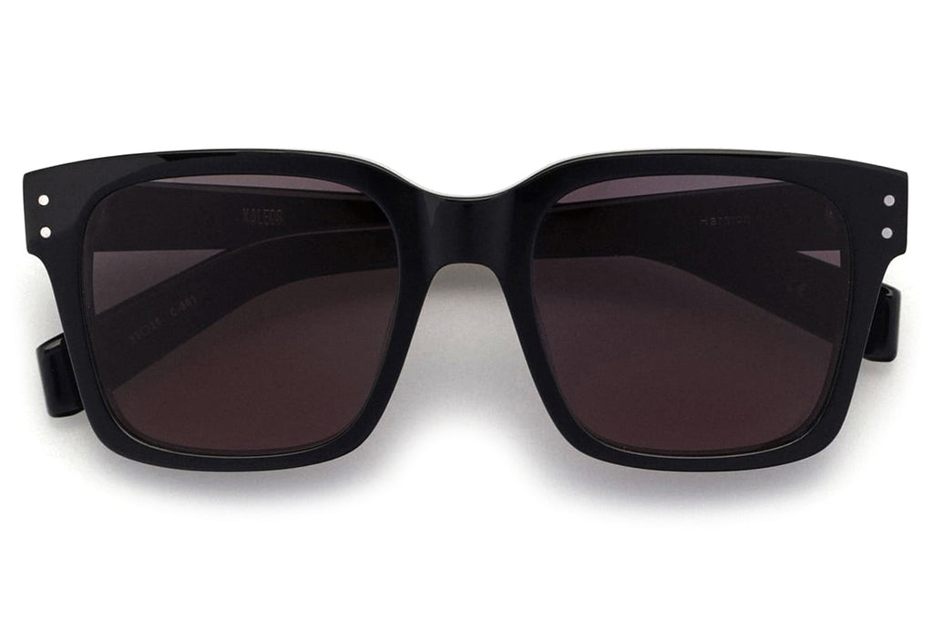 Kaleos Eyehunters - Harmon Sunglasses Monochrome Black