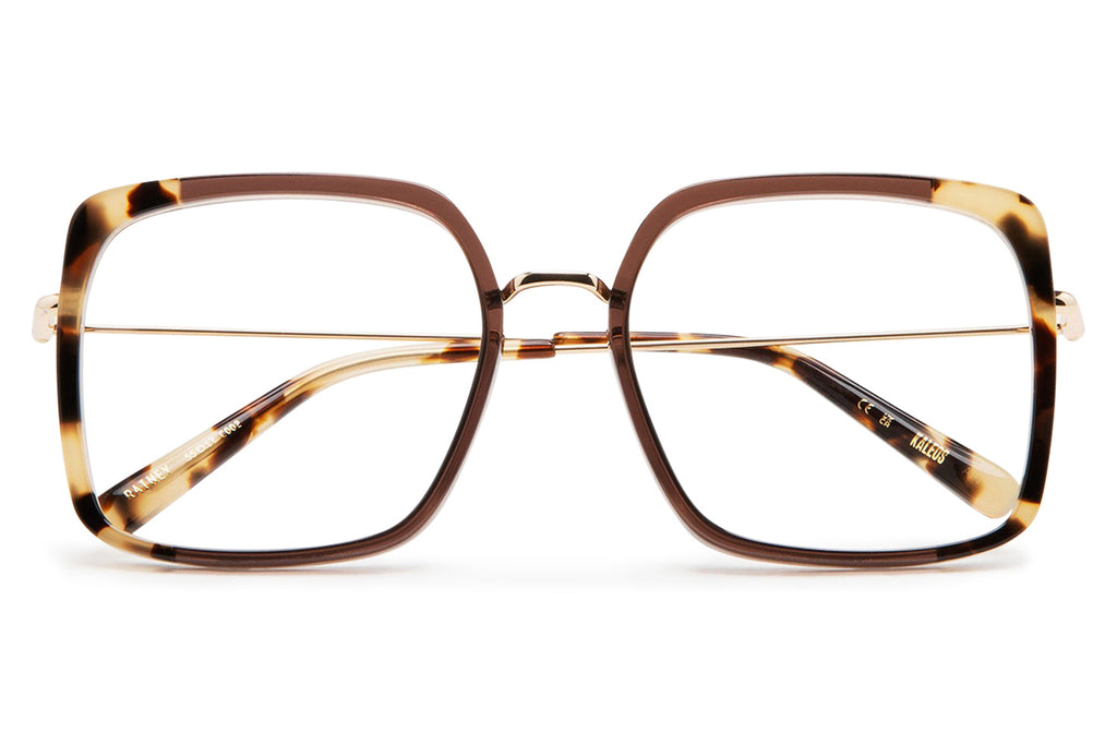 Kaleos Eyehunters - Rainey Eyeglasses Transparent Brown/Brown Tortoise