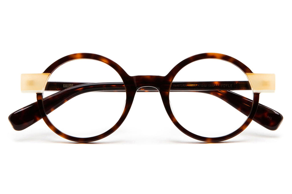 Kaleos Eyehunters - Foyle Eyeglasses Dark Brown Tortoise/Translucent Beige