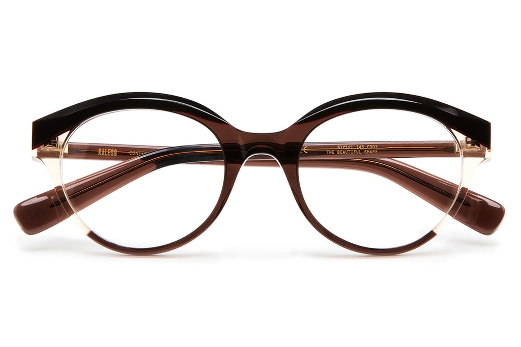 Kaleos Eyehunters - Hines Eyeglasses Transparent Brown/Dark Brown