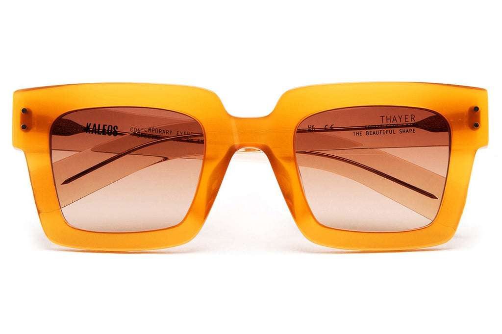 Kaleos Eyehunters - Thayer Sunglasses Transparent Amber