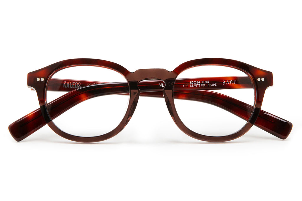 Kaleos Eyehunters - Bach Eyeglasses Transparent Brown/Red Tortoise