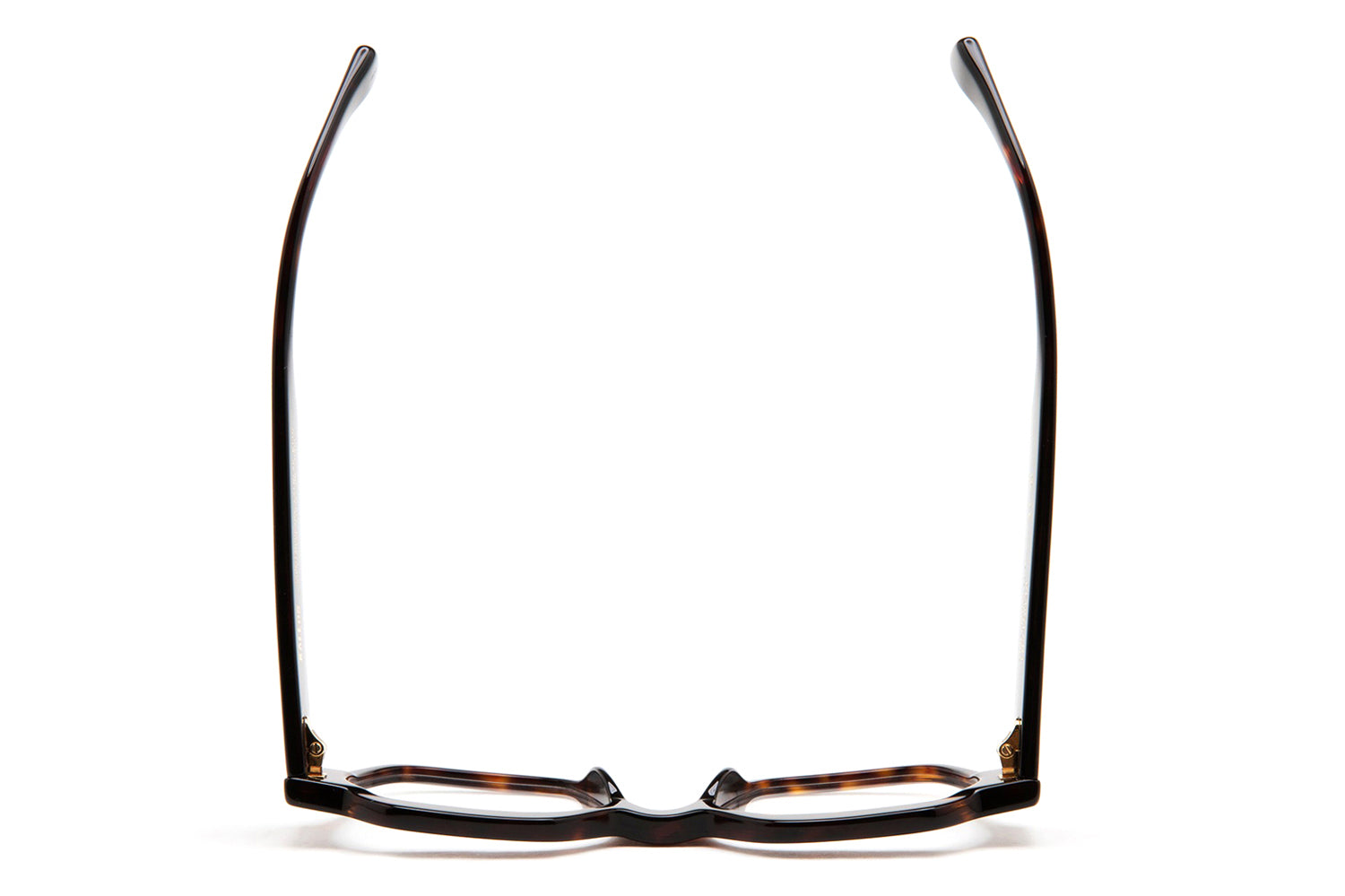 メガネ KALEOS FW25 Kaleos - Reggiani - 11 (REGGIANI 11) Kaleos Eyehunters - Reggiani Eyeglasses | Specs Collective