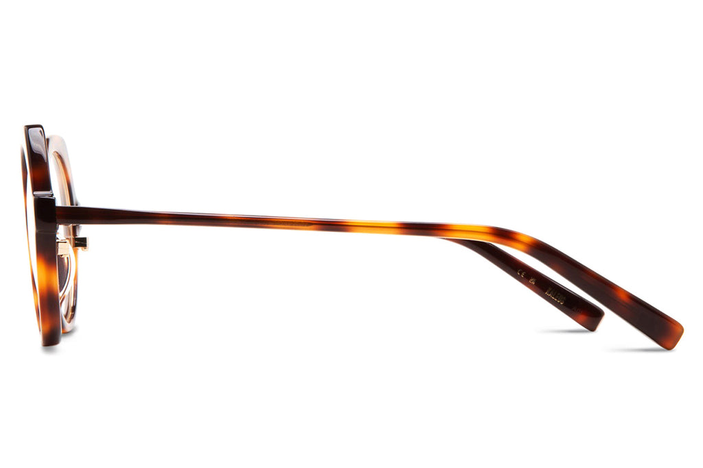 Kaleos Eyehunters - McCandless Eyeglasses Dark Brown Tortoise