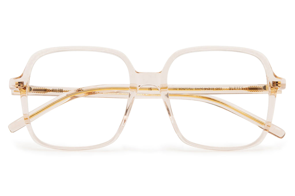 Kaleos Eyehunters - Burres Eyeglasses Transparent Light Beige