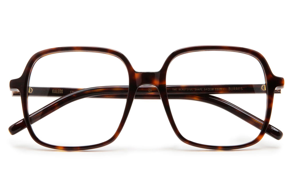 Kaleos Eyehunters - Burres Eyeglasses Dark Brown Tortoise