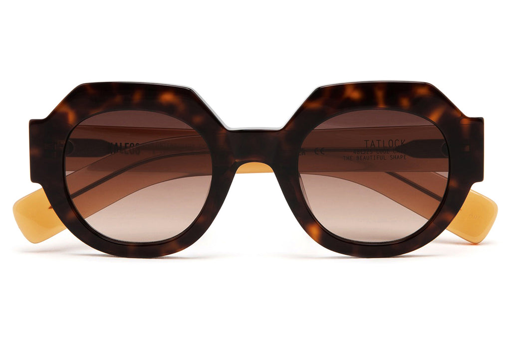 Kaleos Eyehunters - Tatlock Sunglasses Dark Brown Tortoise