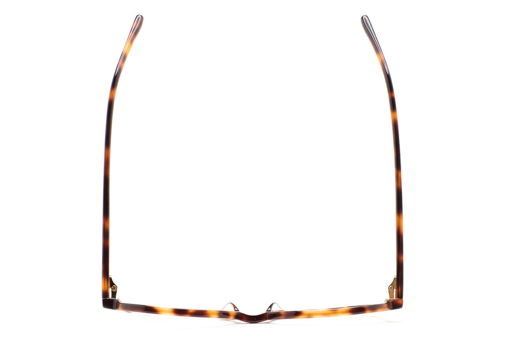 Kaleos Eyehunters - Avery Eyeglasses Dark Brown Havana