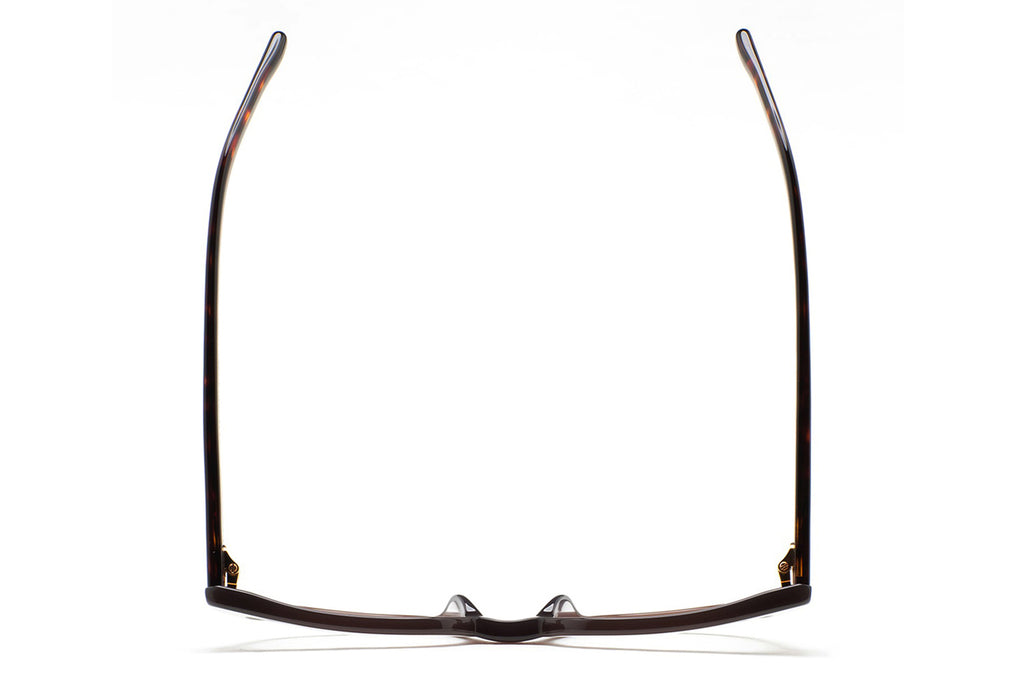 Kaleos Eyehunters - Manor Eyeglasses Translucent Brown