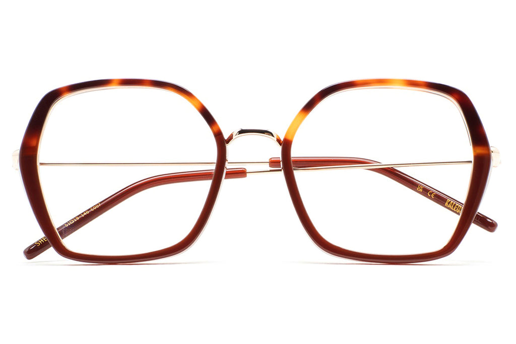 Kaleos Eyehunters - Shetty Eyeglasses Translucent Brown/Brown Havana