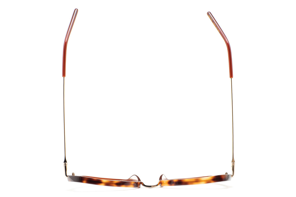 Kaleos Eyehunters - Shetty Eyeglasses Translucent Brown/Brown Havana