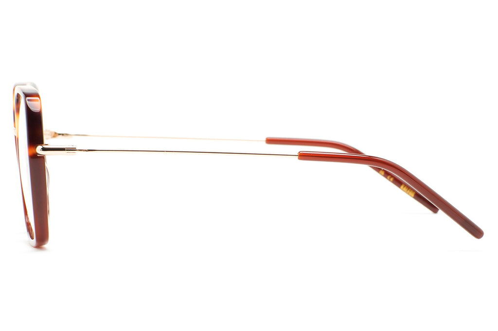 Kaleos Eyehunters - Shetty Eyeglasses Translucent Brown/Brown Havana