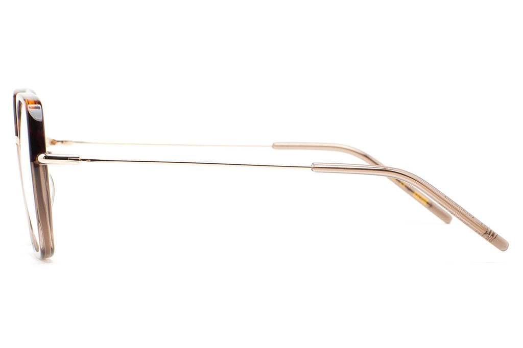 Kaleos Eyehunters - Shetty Eyeglasses Transparent Brown/Dark Brown Havana