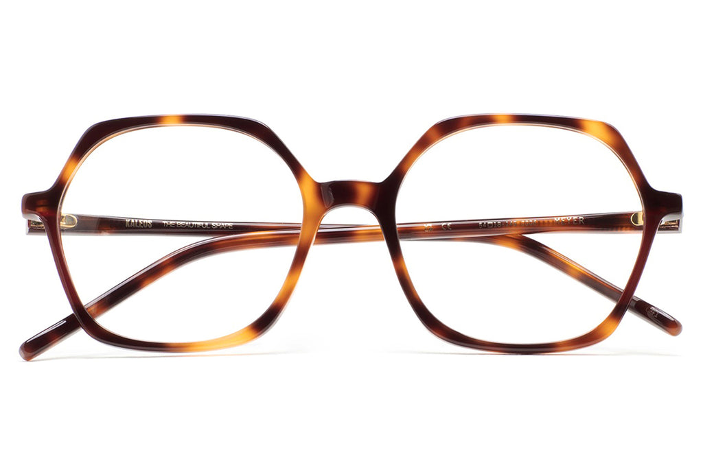 Kaleos Eyehunters - Meyer Eyeglasses Brown Havana/Burgundy