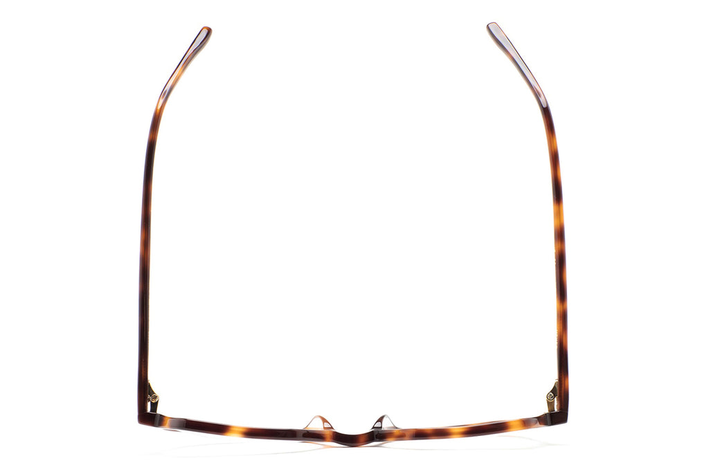 Kaleos Eyehunters - Meyer Eyeglasses Brown Havana/Burgundy