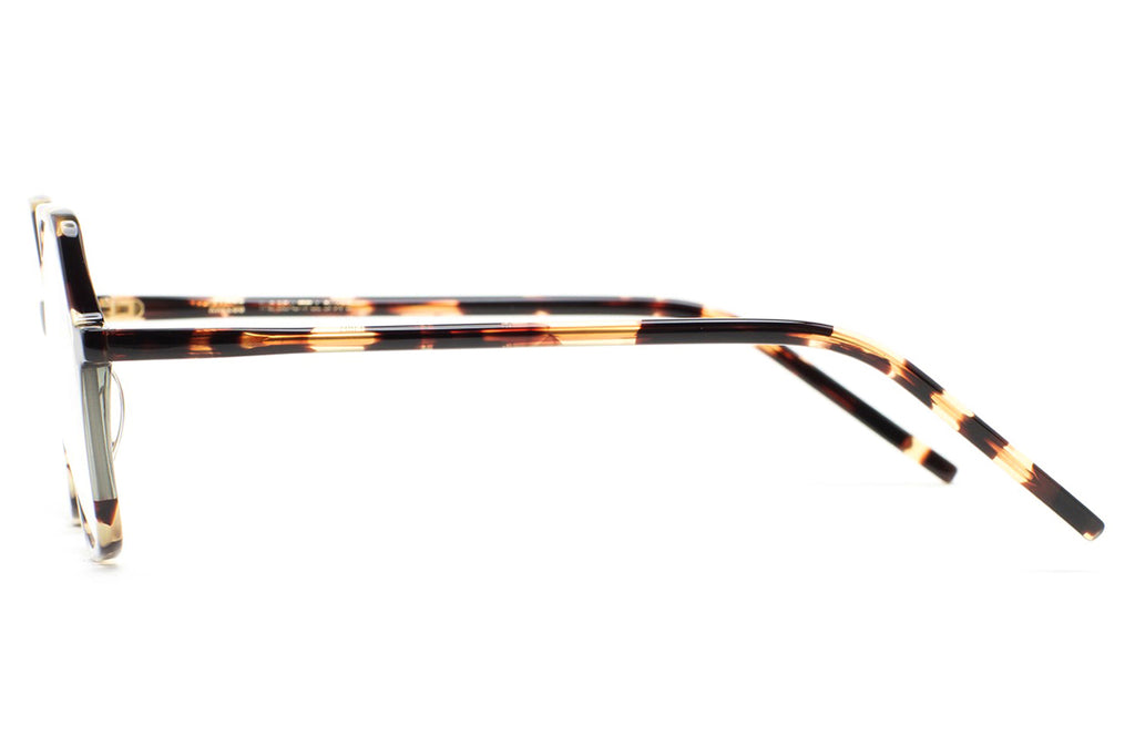 Kaleos Eyehunters - Meyer Eyeglasses Vintage Brown Havana/Transparent Green