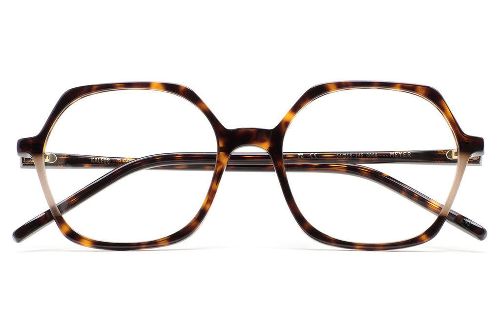 Kaleos Eyehunters - Meyer Eyeglasses Dark Brown Havana/Transparent Light Brown