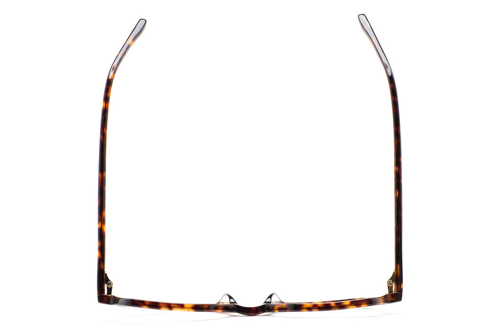 Kaleos Eyehunters - Meyer Eyeglasses Dark Brown Havana/Transparent Light Brown