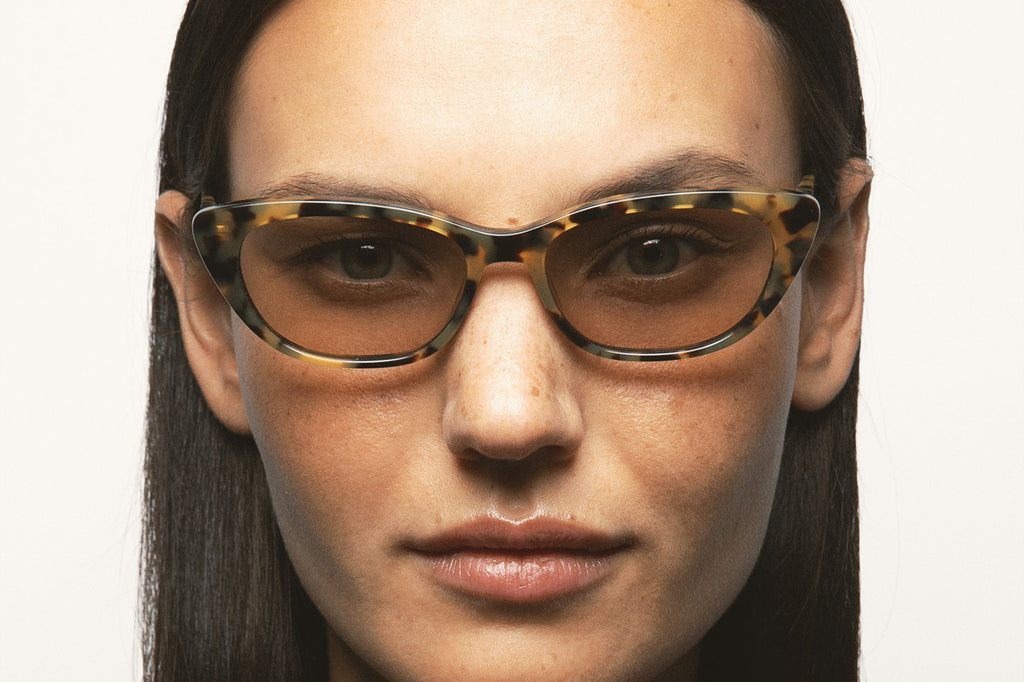 Kaleos Eyehunters - Cobb Sunglasses Brown Havana with Brown Photochromic Lenses