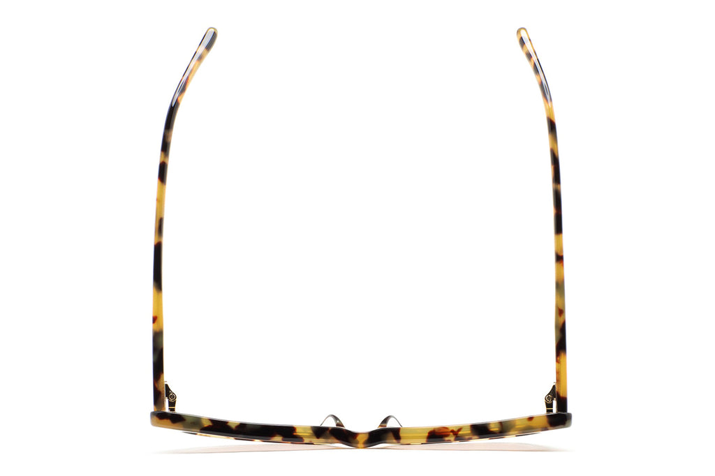 Kaleos Eyehunters - Cobb Sunglasses Brown Havana with Brown Photochromic Lenses