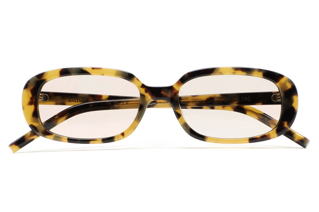 Kaleos Eyehunters - Stirling Sunglasses Brown Havana with Brown Photochromic Lenses